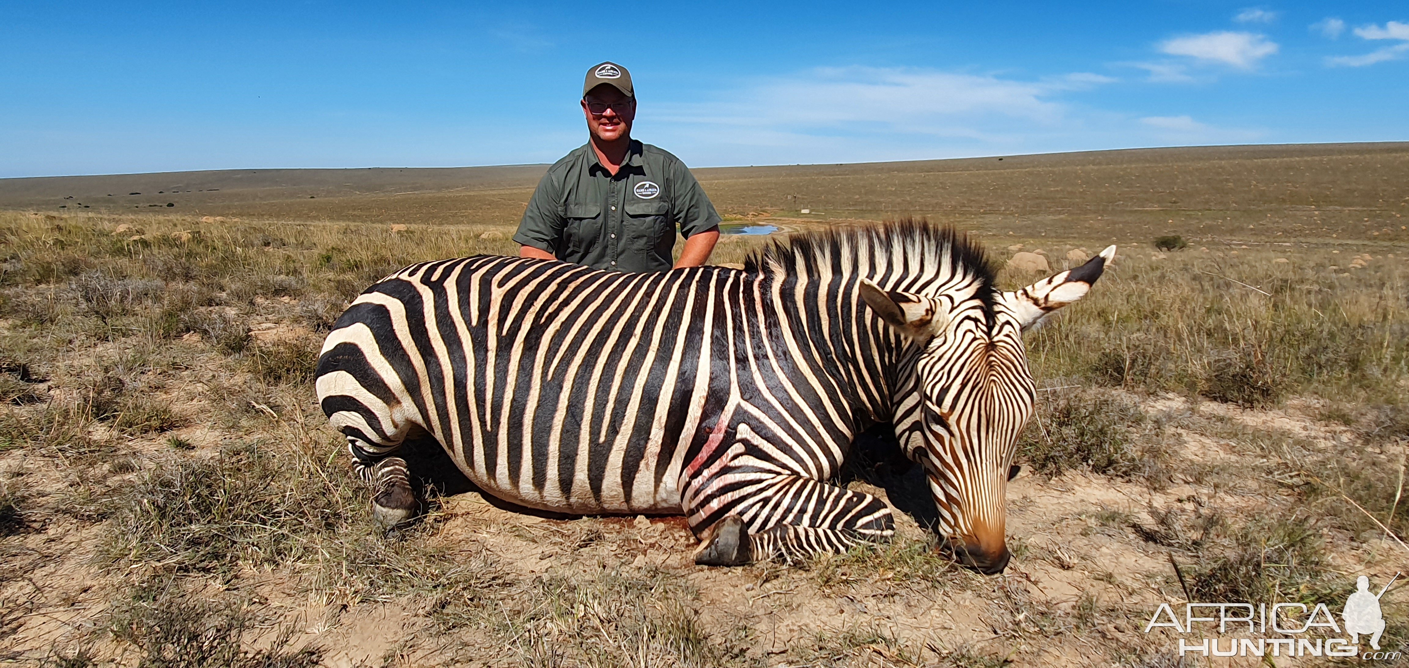 Hartmann’s Mountain Zebra Hunting South Africa