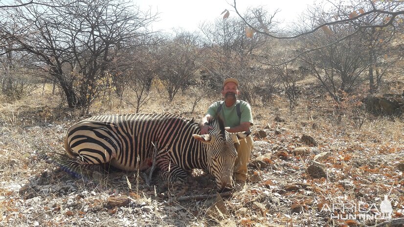 Hartmann’s Mountain Zebra