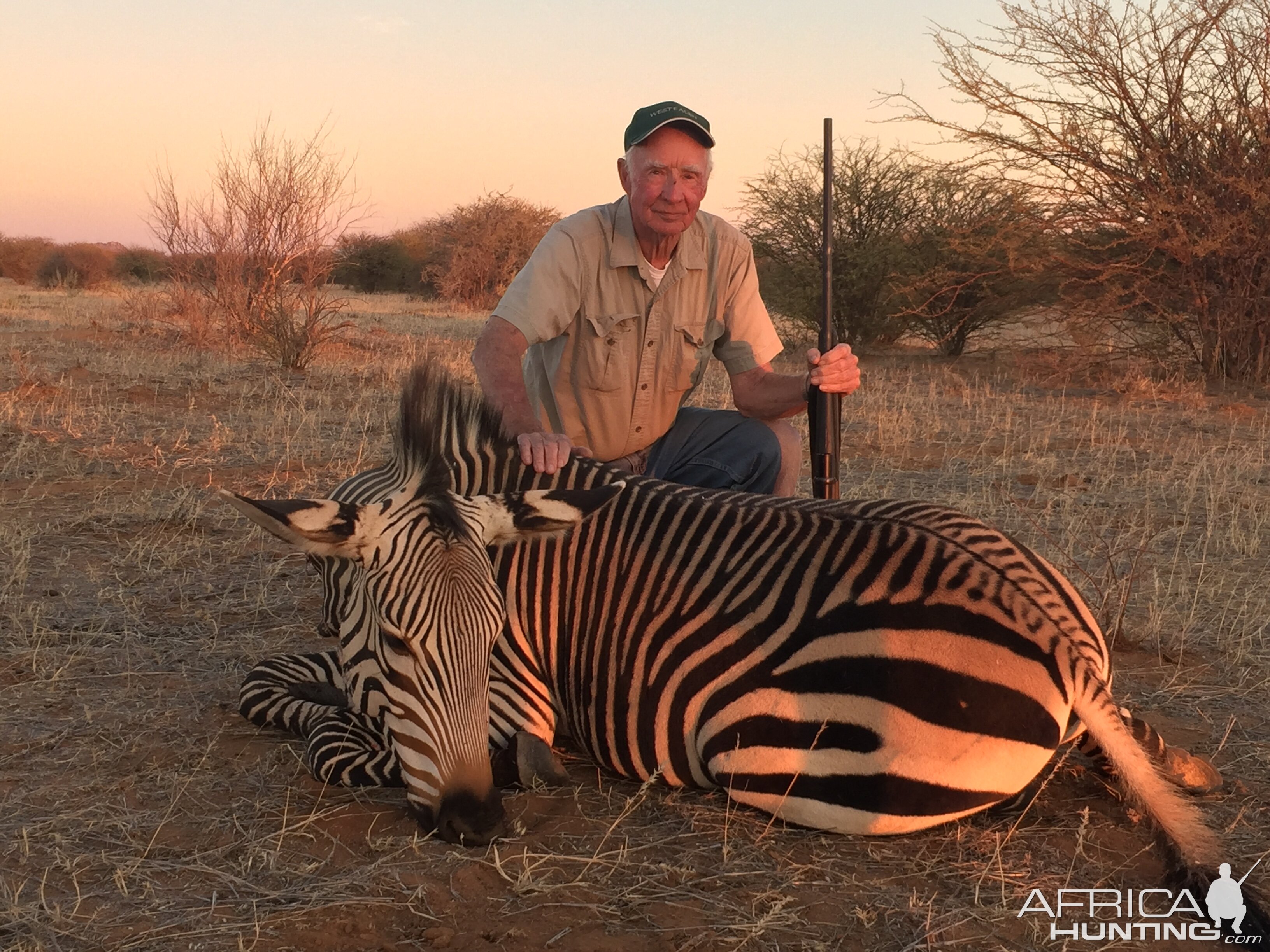 Hartmann’s Mountain Zebra