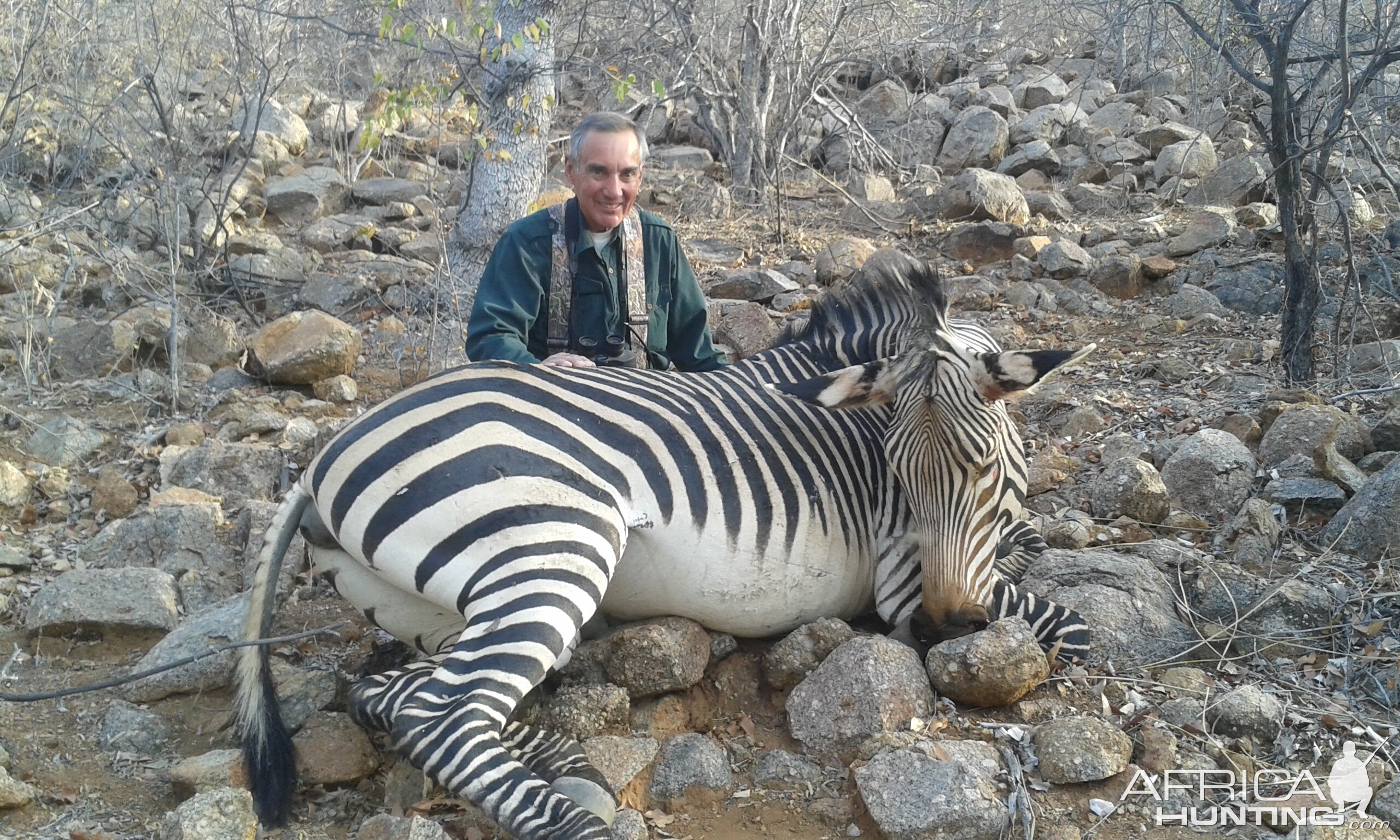 Hartmann's mountain Zebra Hunt Namibia