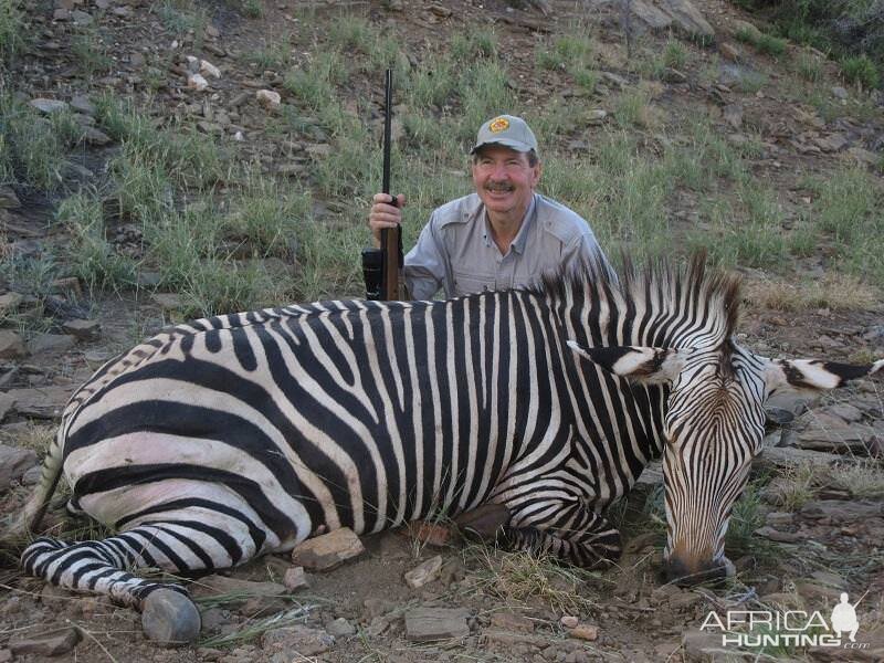 Hartmann's Mountain Zebra Hunt Namibia