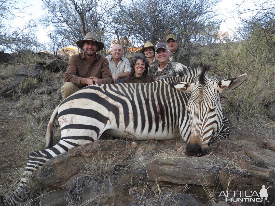 Hartmann's Mountain Zebra Hunt Namibia