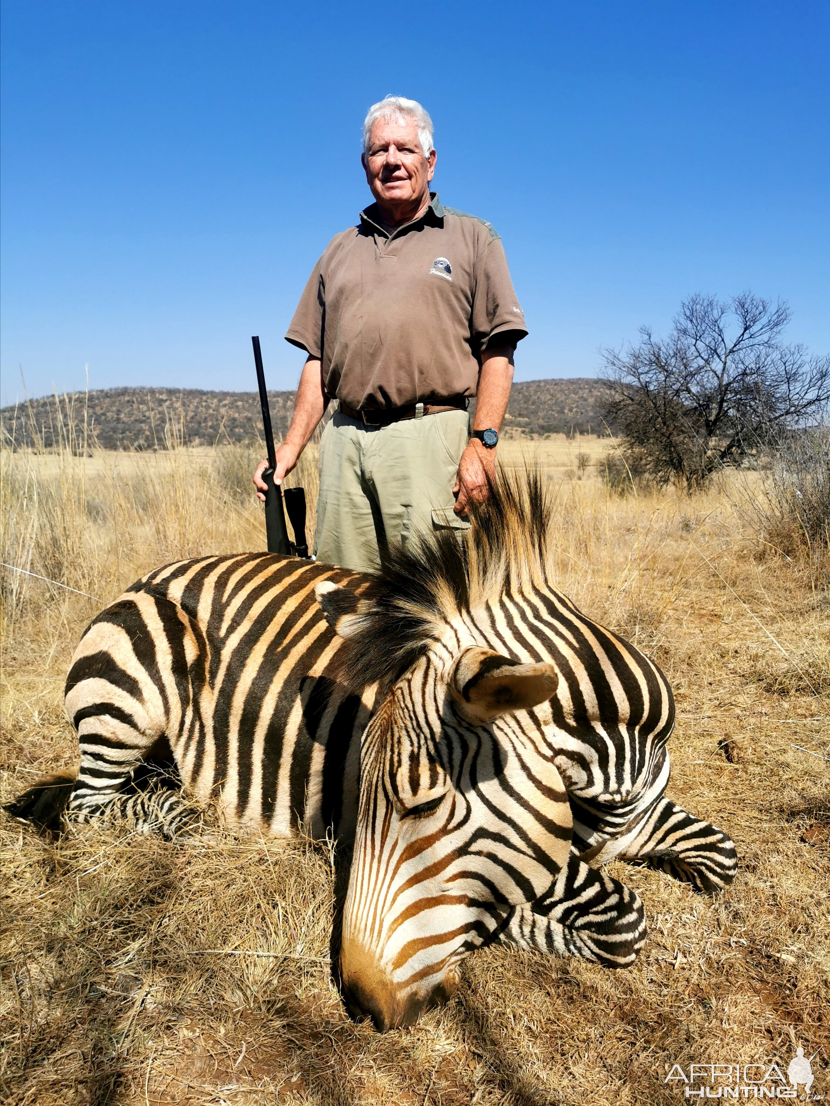 Hartmann's Mountain Zebra Hunt South Africa