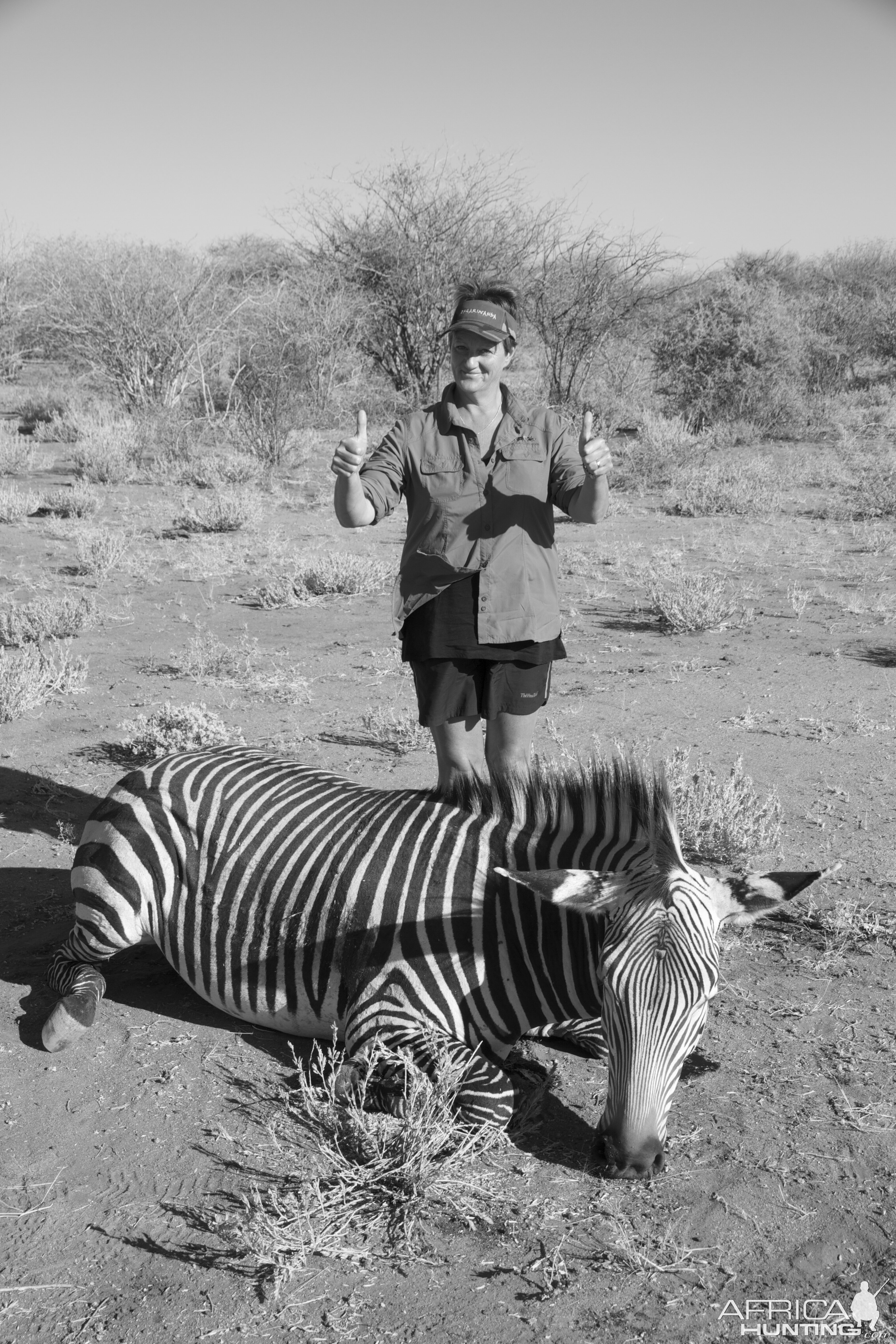 Hartmann's Mountain Zebra Hunt