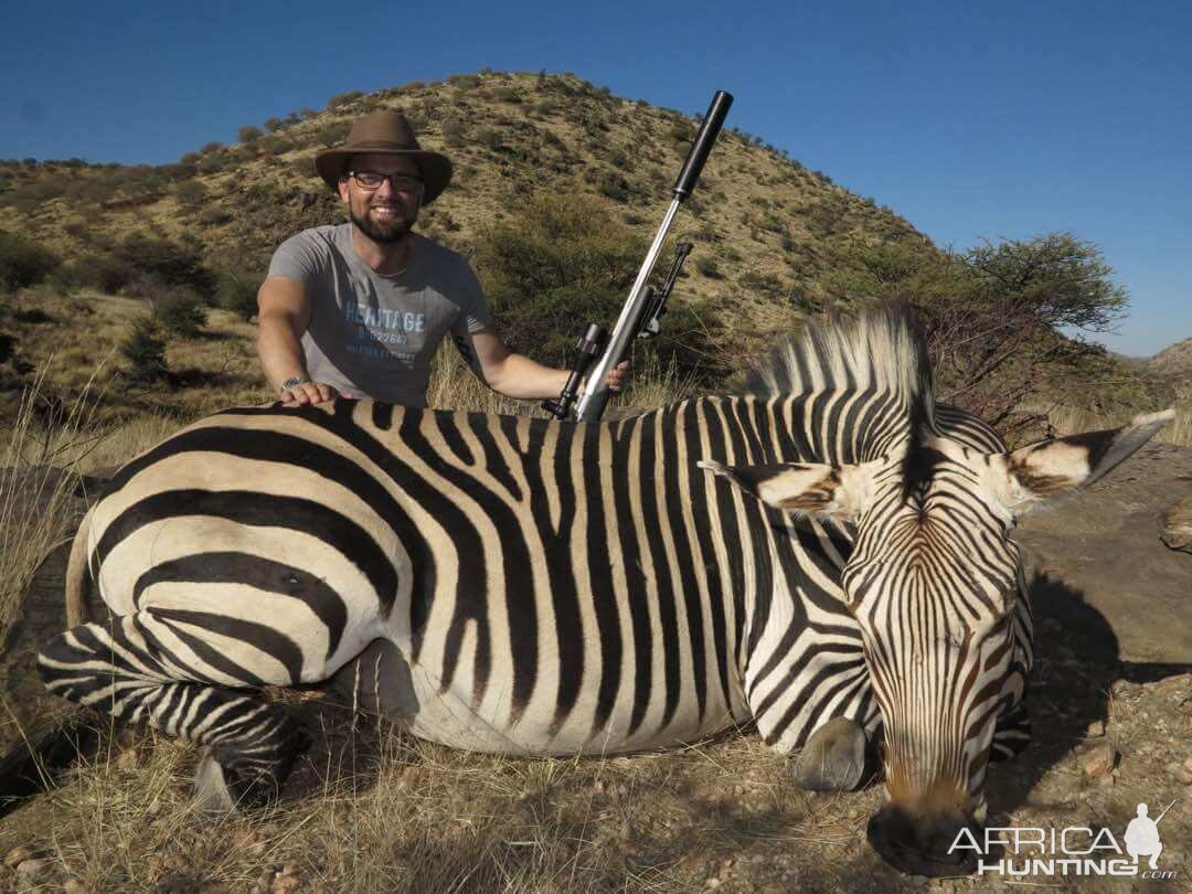 Hartmann's Mountain Zebra Hunting Namibia