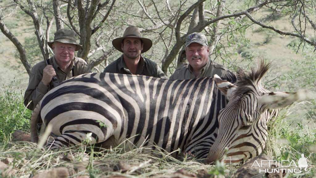 Hartmann's Mountain Zebra Hunting Namibia