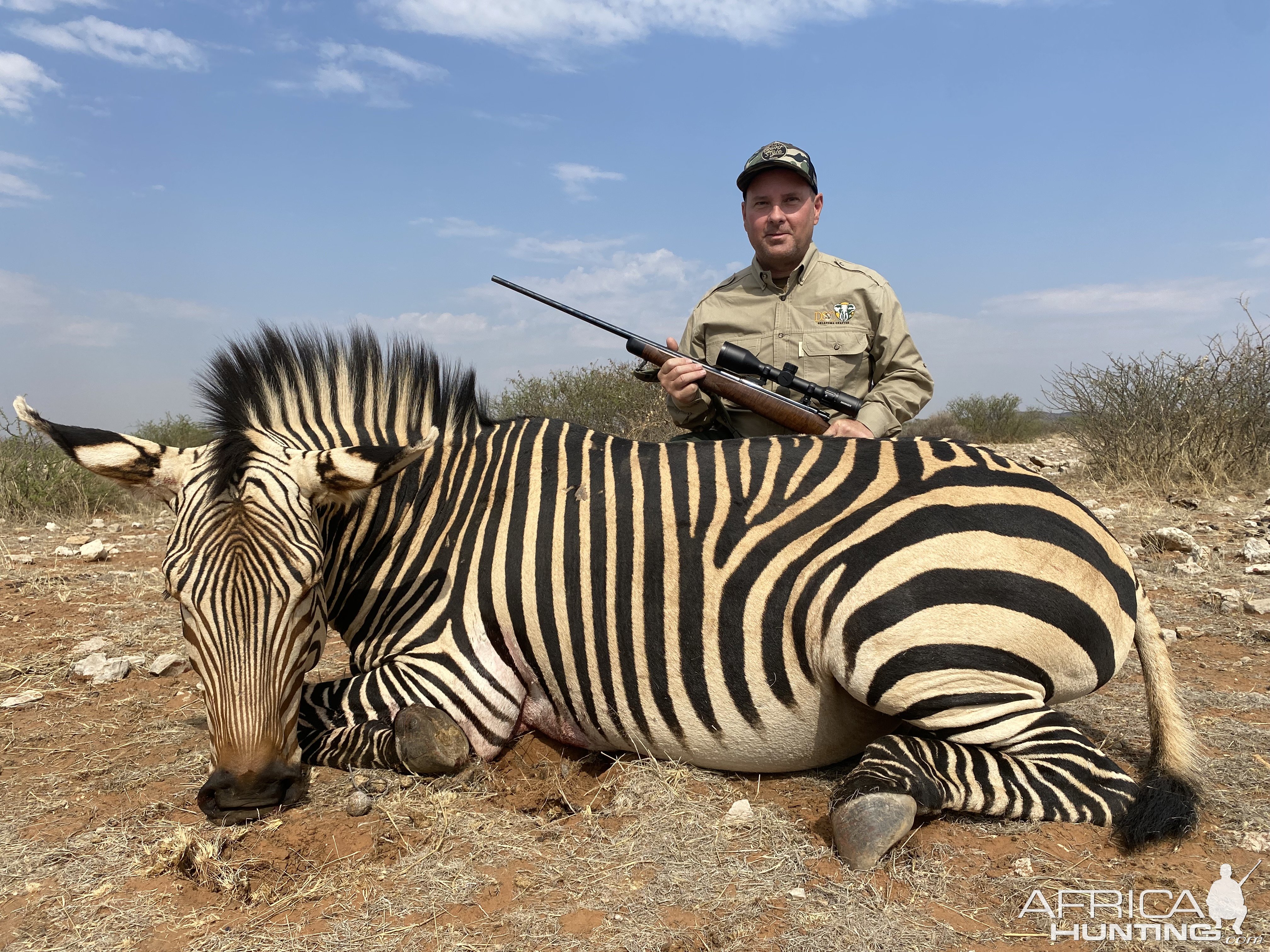 Hartmann's Zebra Hunt Namibia