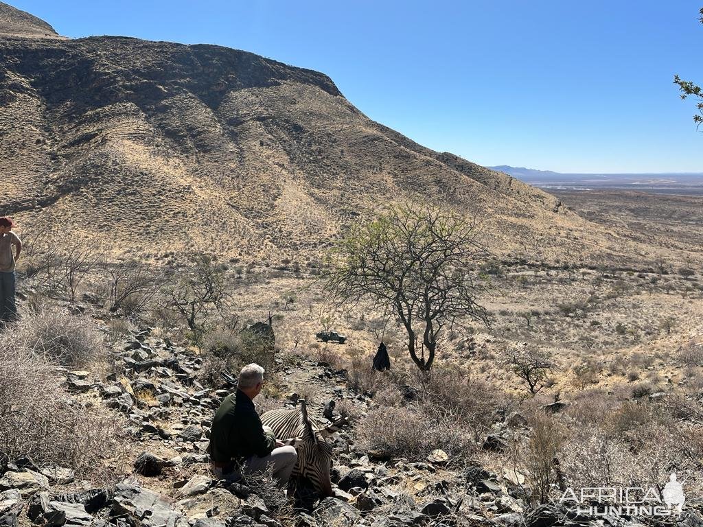 Hartmann's Zebra Hunt Namibia