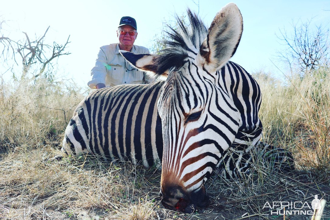 Hartmann's Zebra Hunt Namibia