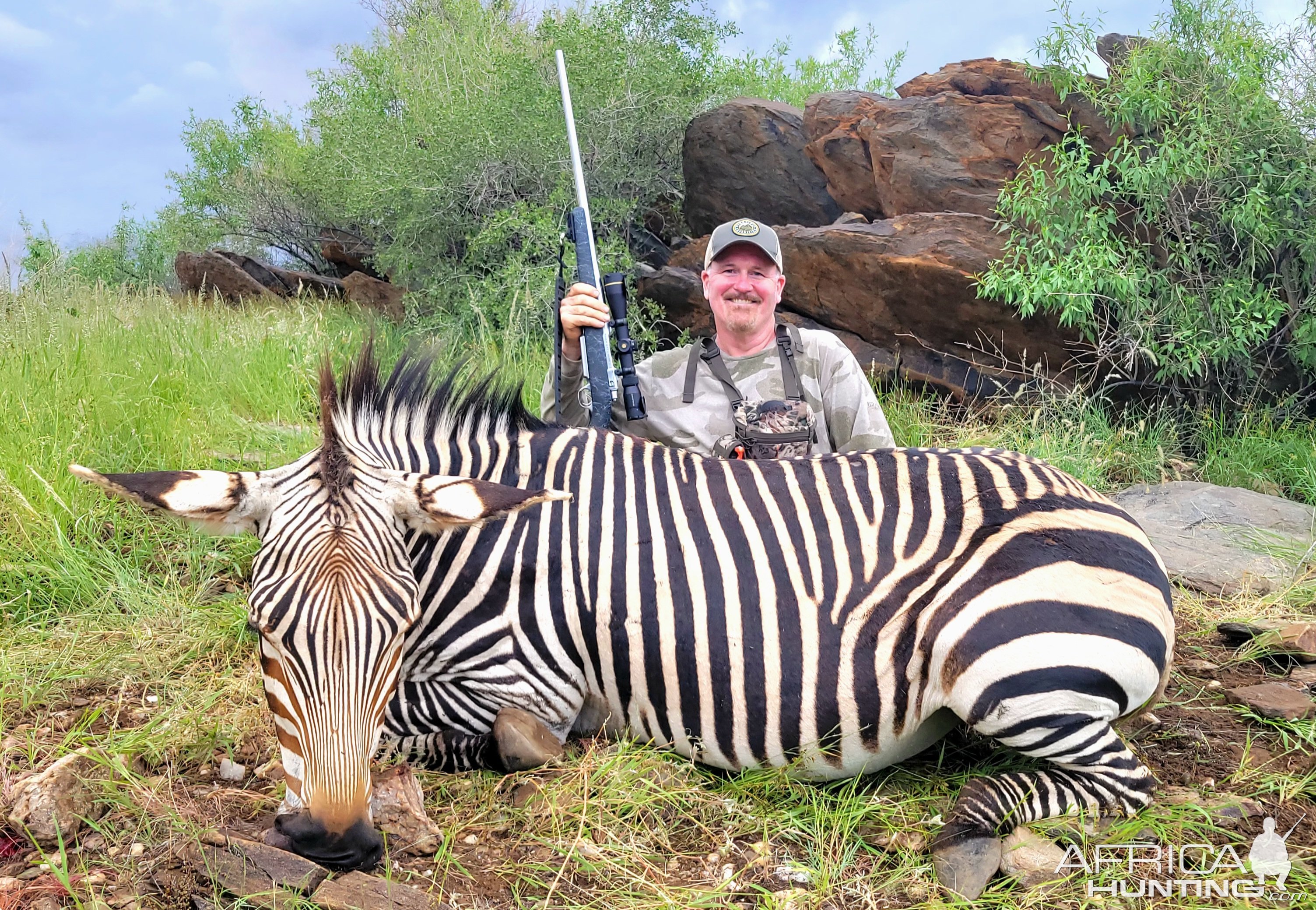 Hartmann's Zebra Hunt Namibia