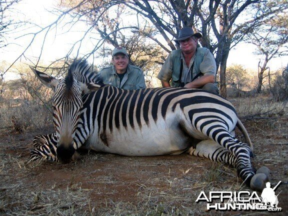 Hartmann's Zebra Hunt Namibia