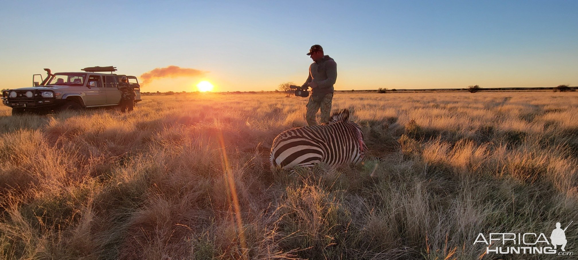 Hartmann's Zebra Hunt South Africa