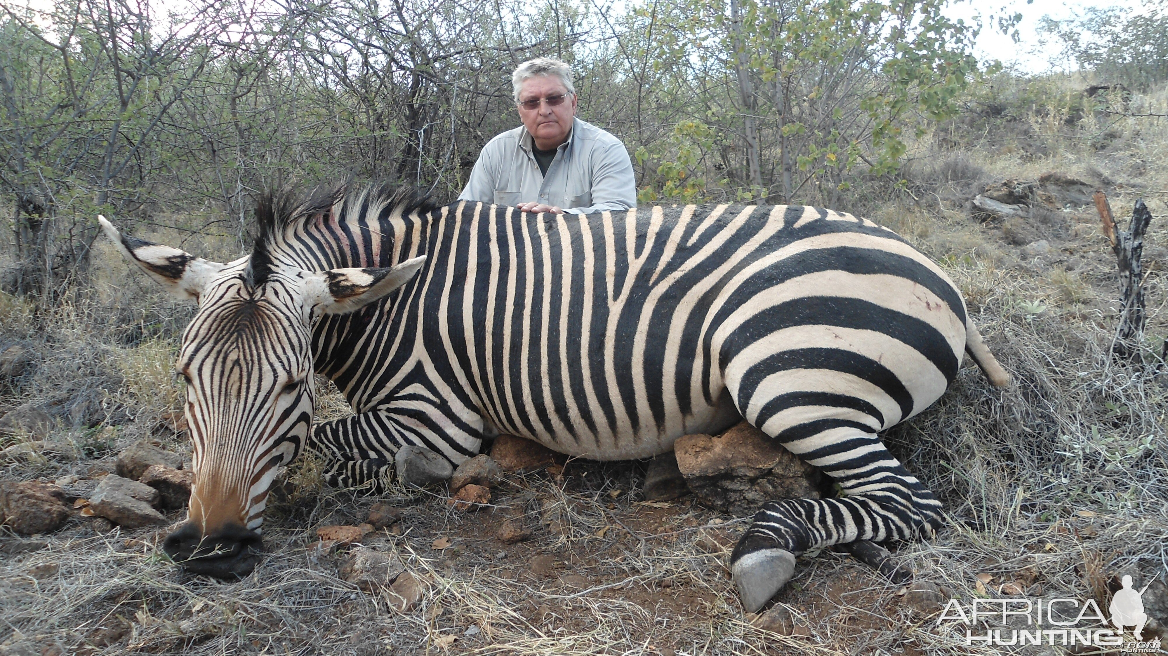 Hartmann's Zebra hunted with Ozondjahe Hunting Safaris in Namibia