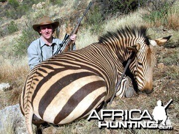 Hartmann's Zebra (Mountain Zebra) Namibia