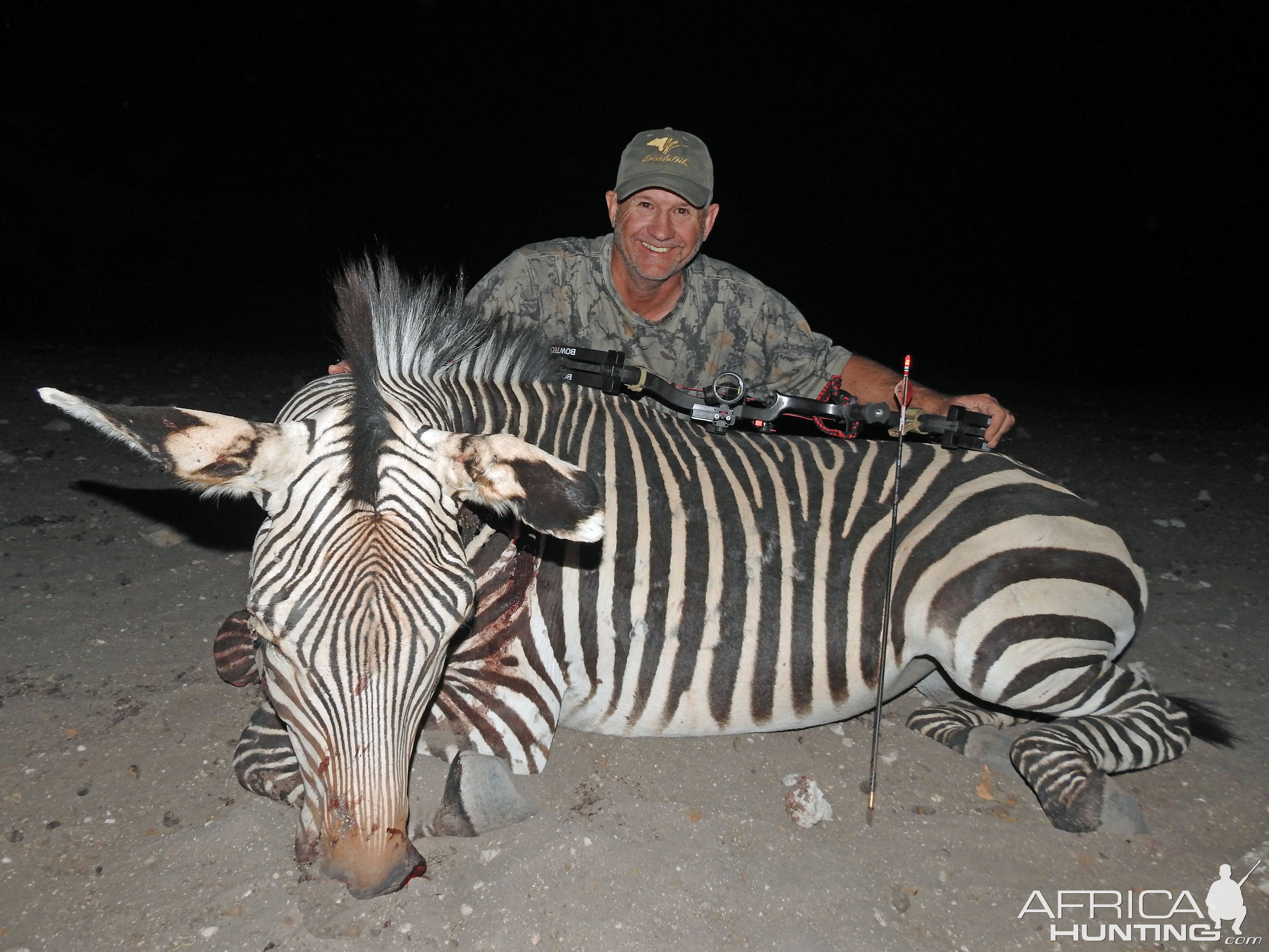 Hartmann's Zebra Namibia