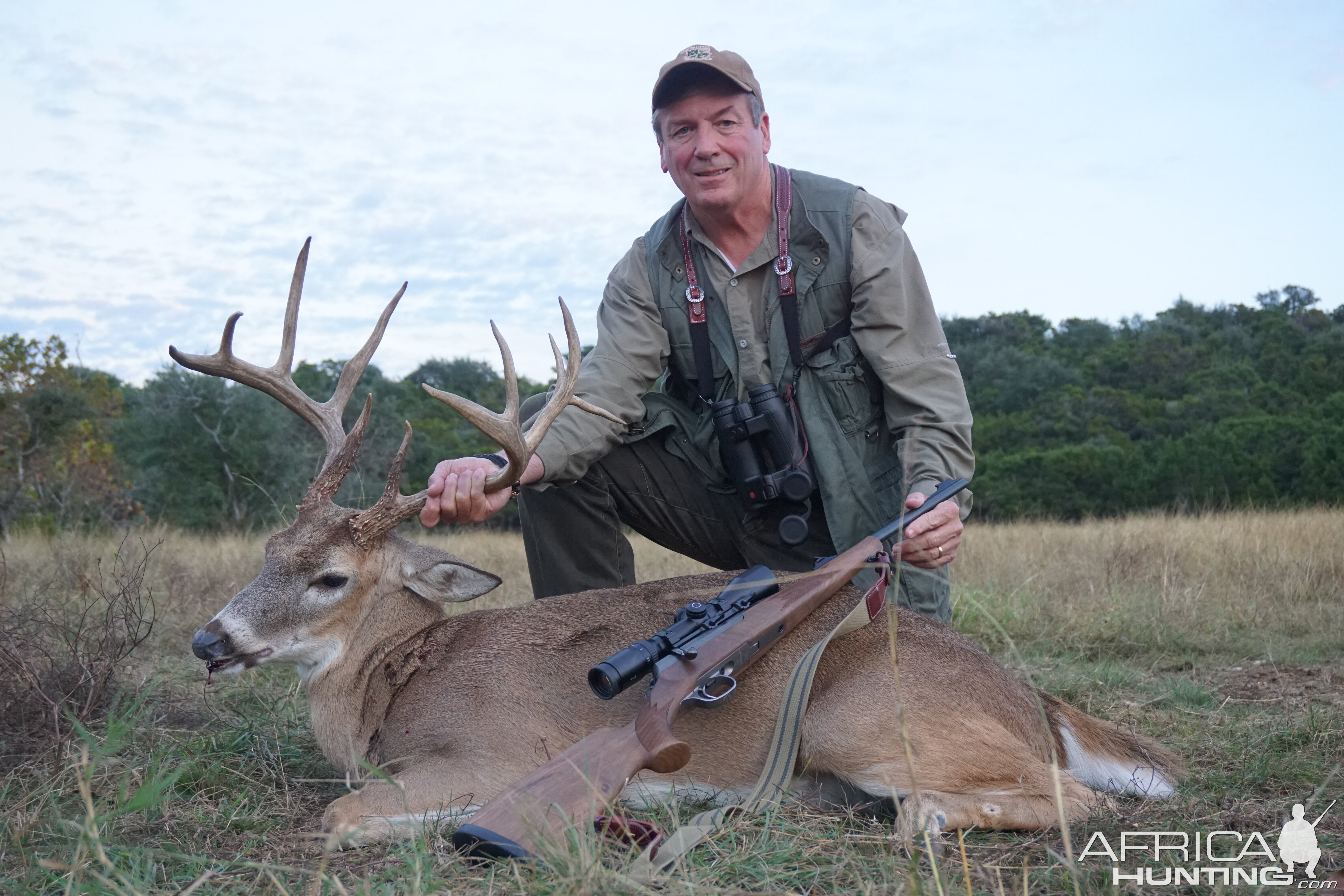 Hill Country Buck