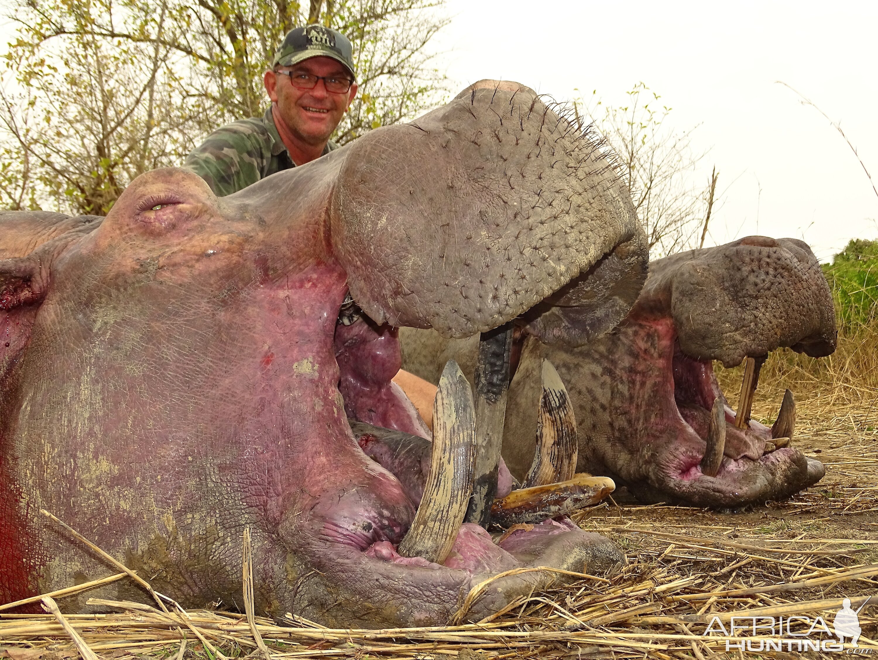 Hippo Hunt In Benin