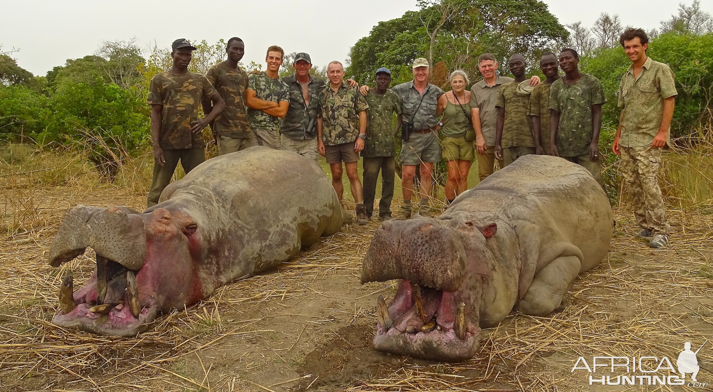 Hippo Hunt In Benin