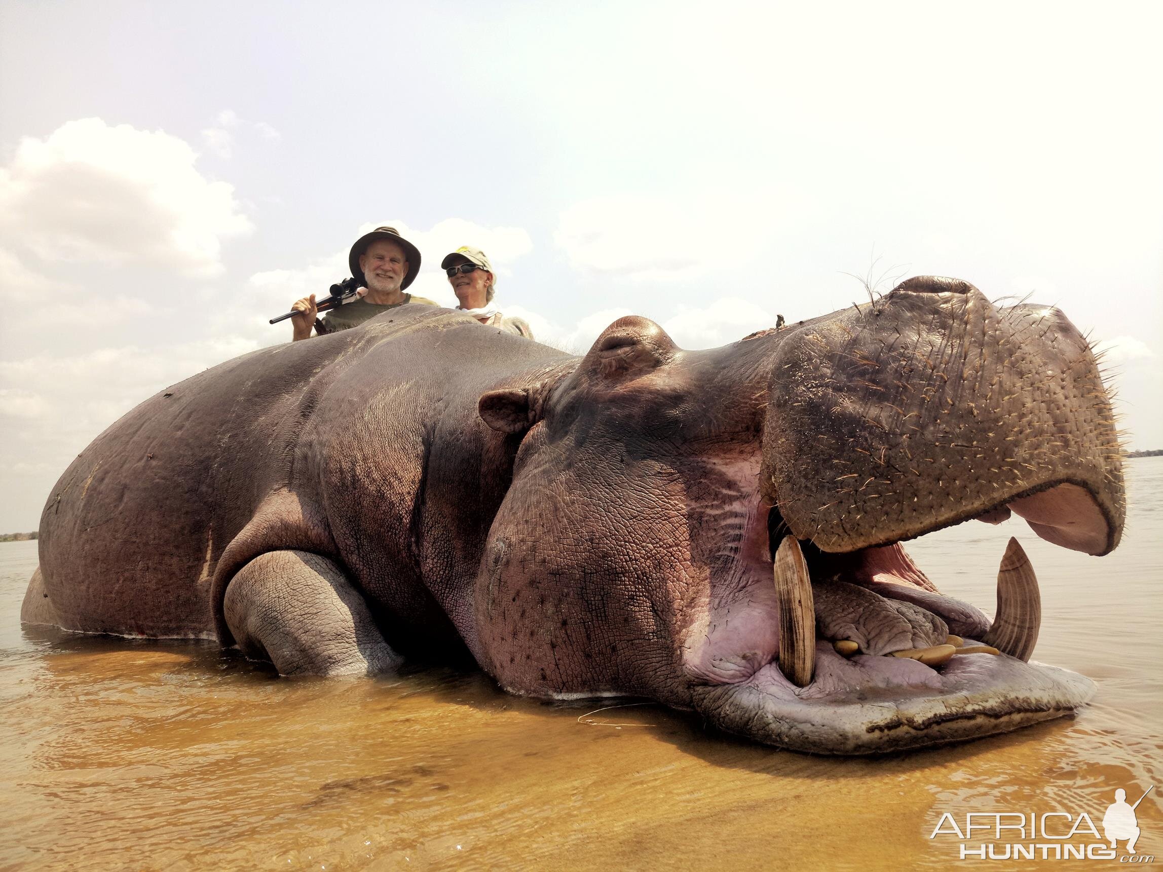 Hippo Hunt Mozambique