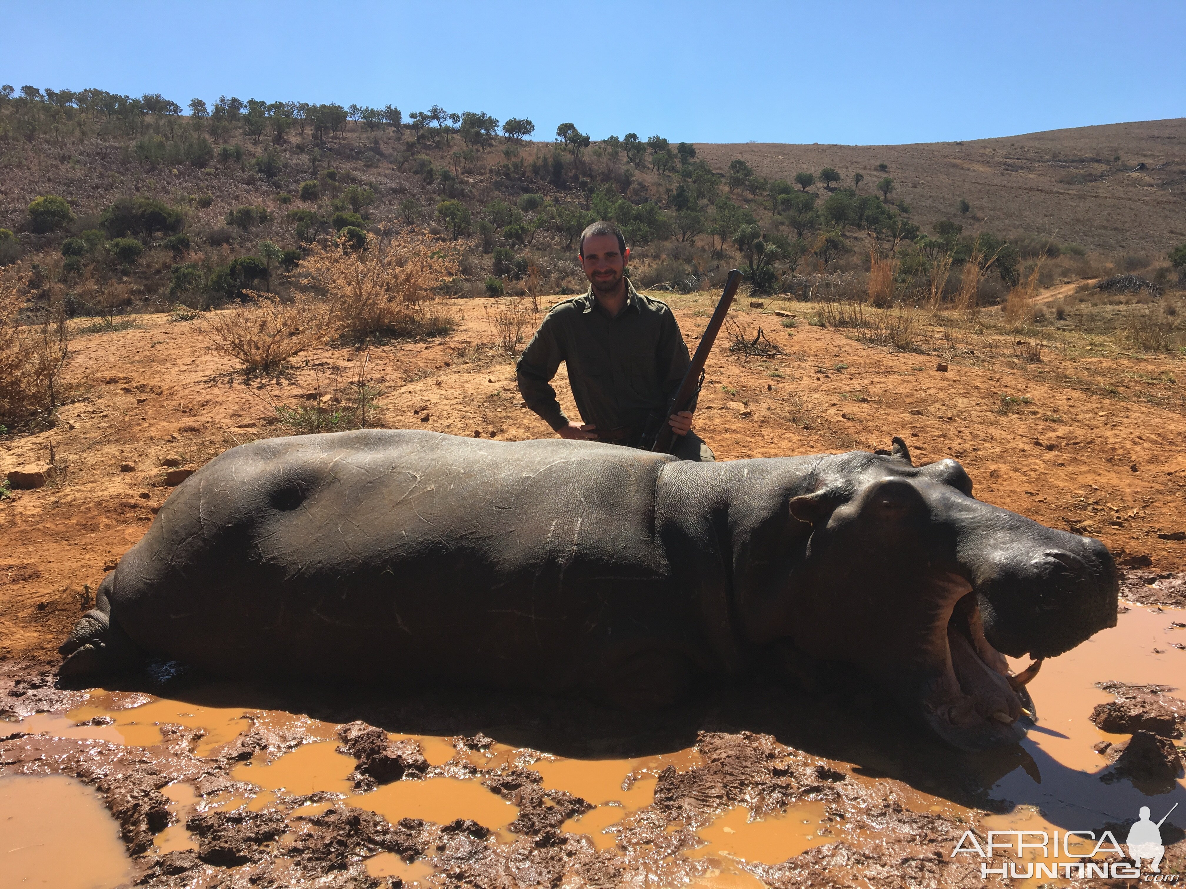 Hippo Hunt Mpumalanga