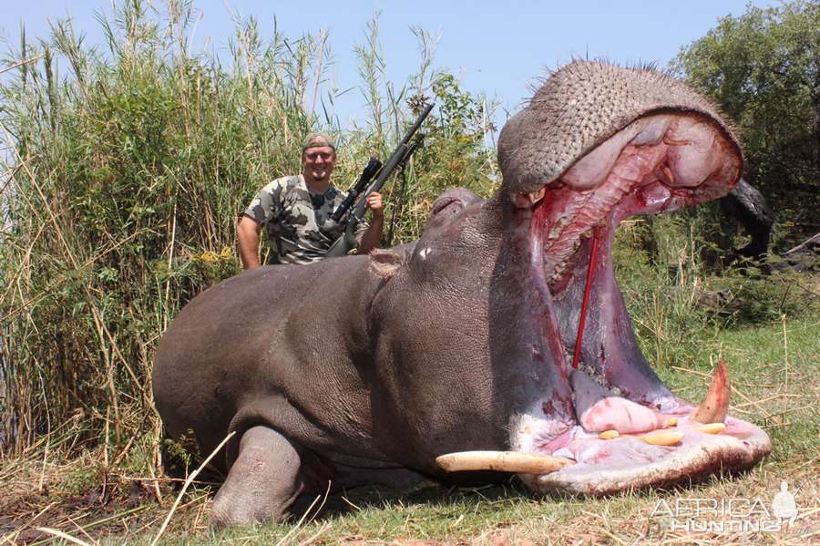 Hippo Hunt Namibia