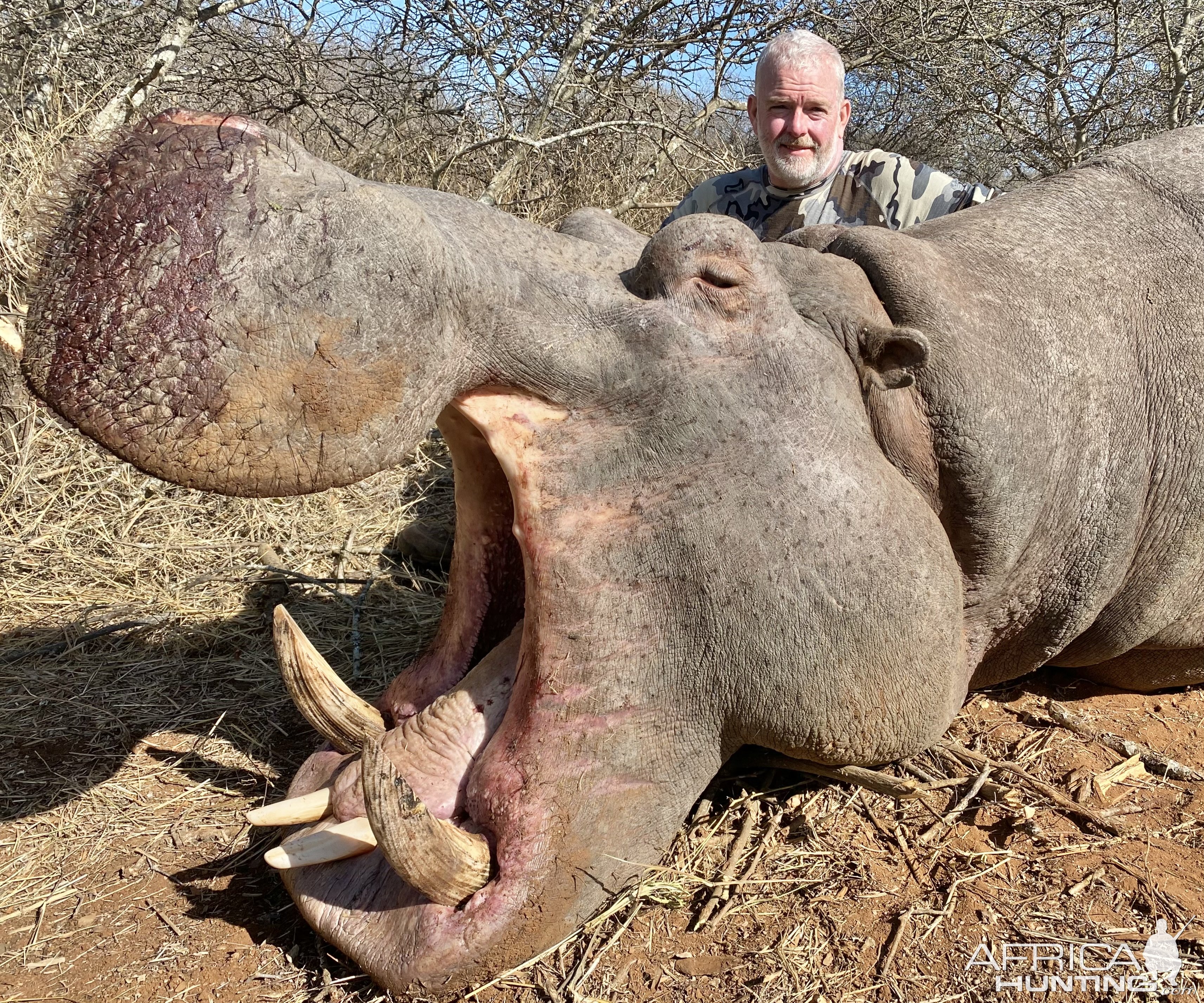 Hippo Hunt South Africa