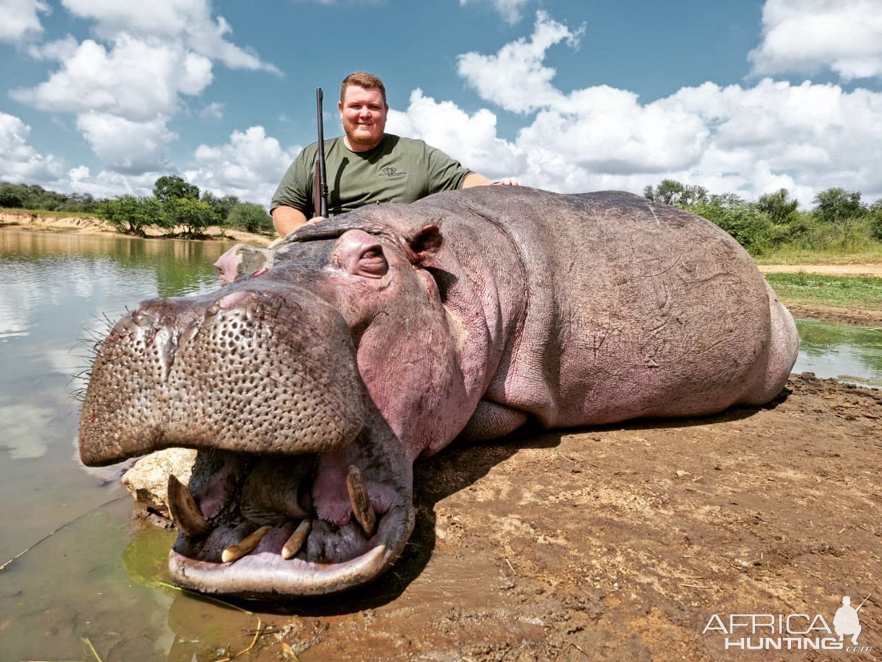 Hippo Hunt South Africa