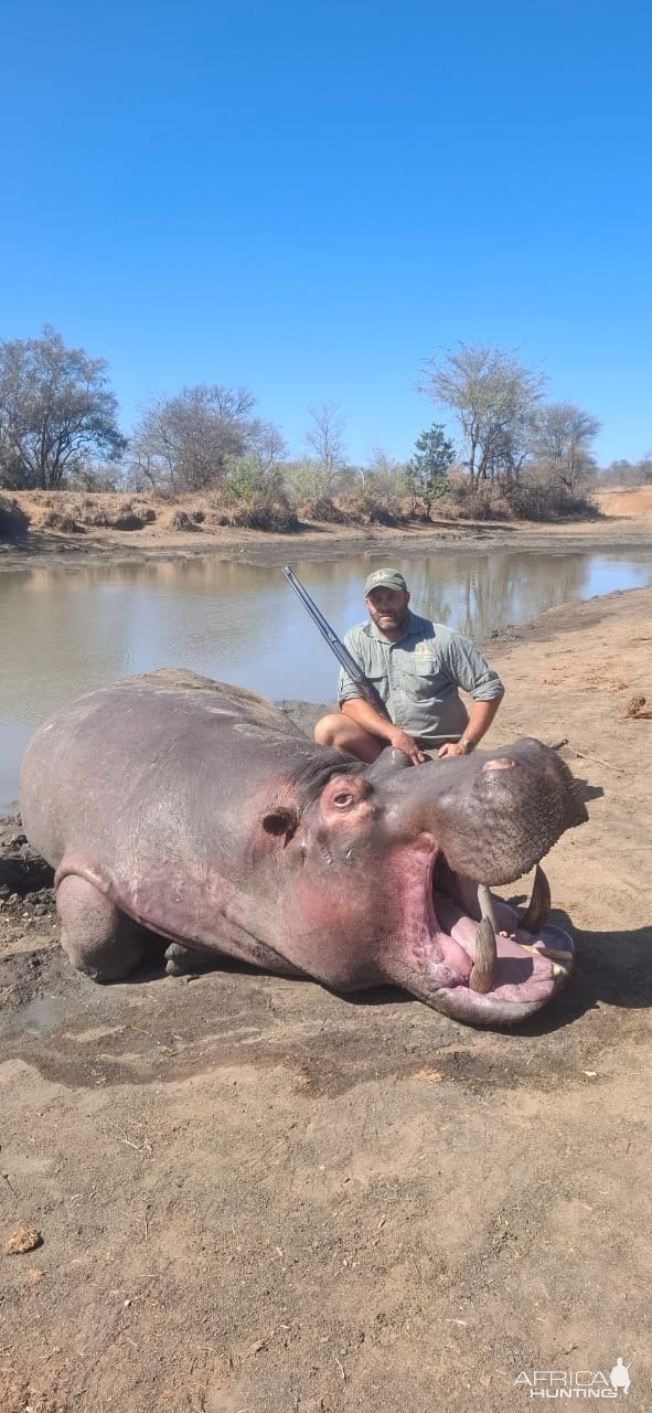 Hippo Hunt South Africa