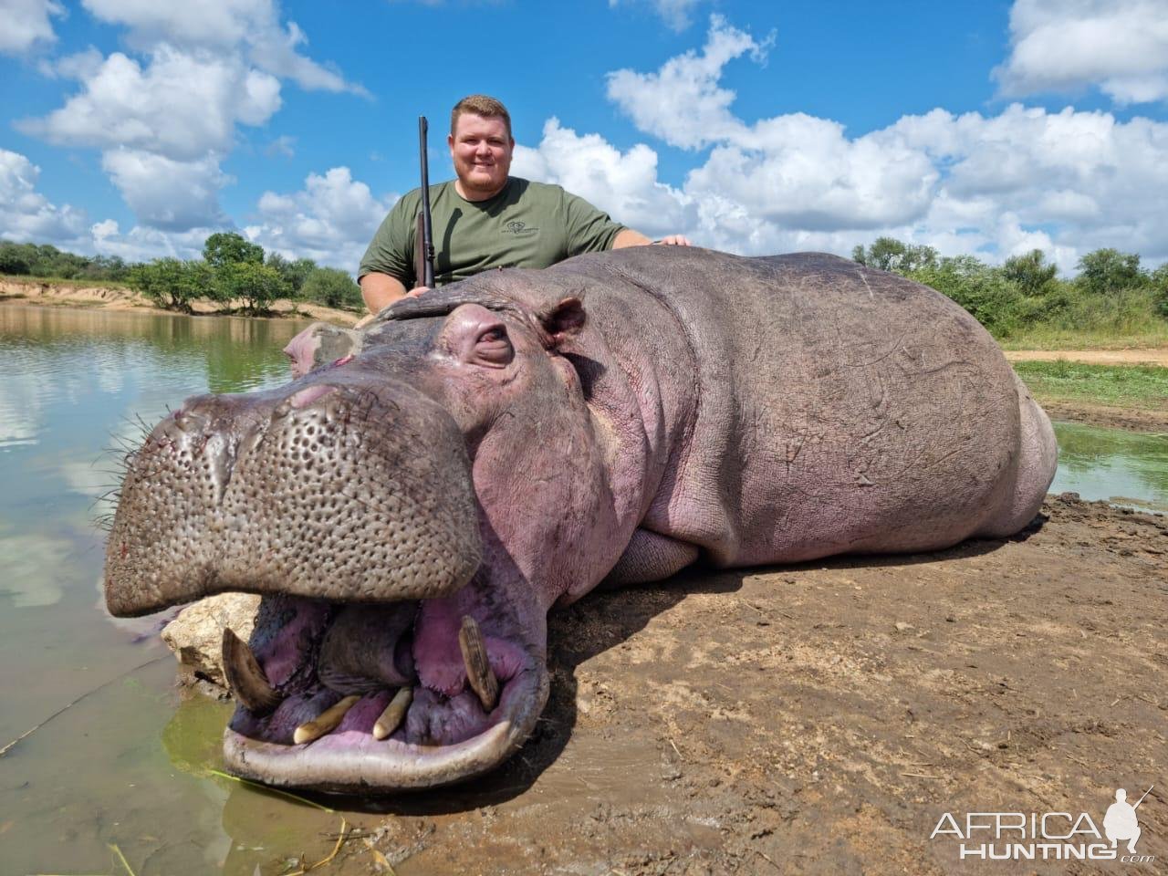 Hippo Hunt South Africa