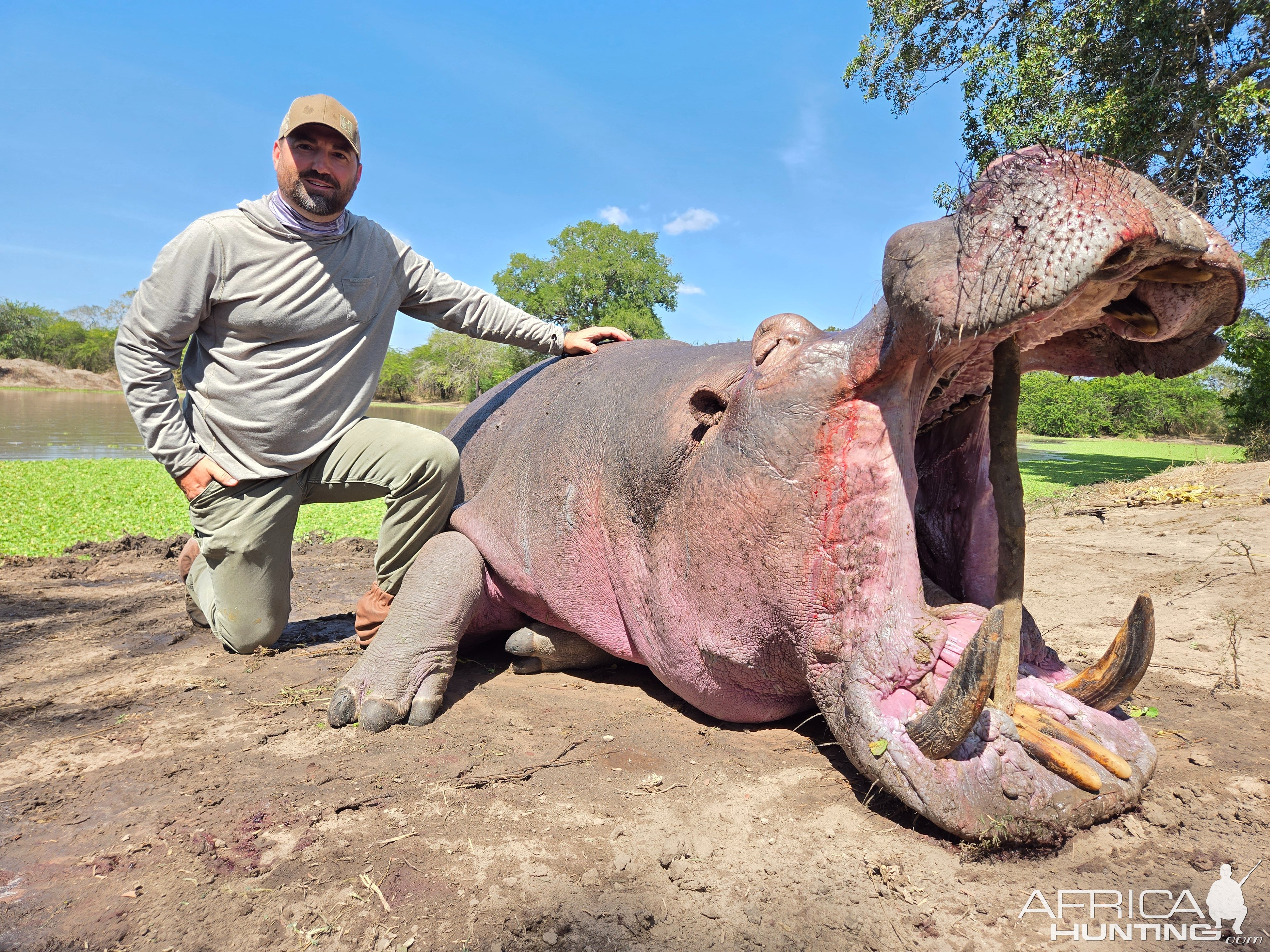 Hippo Hunt Tanzania