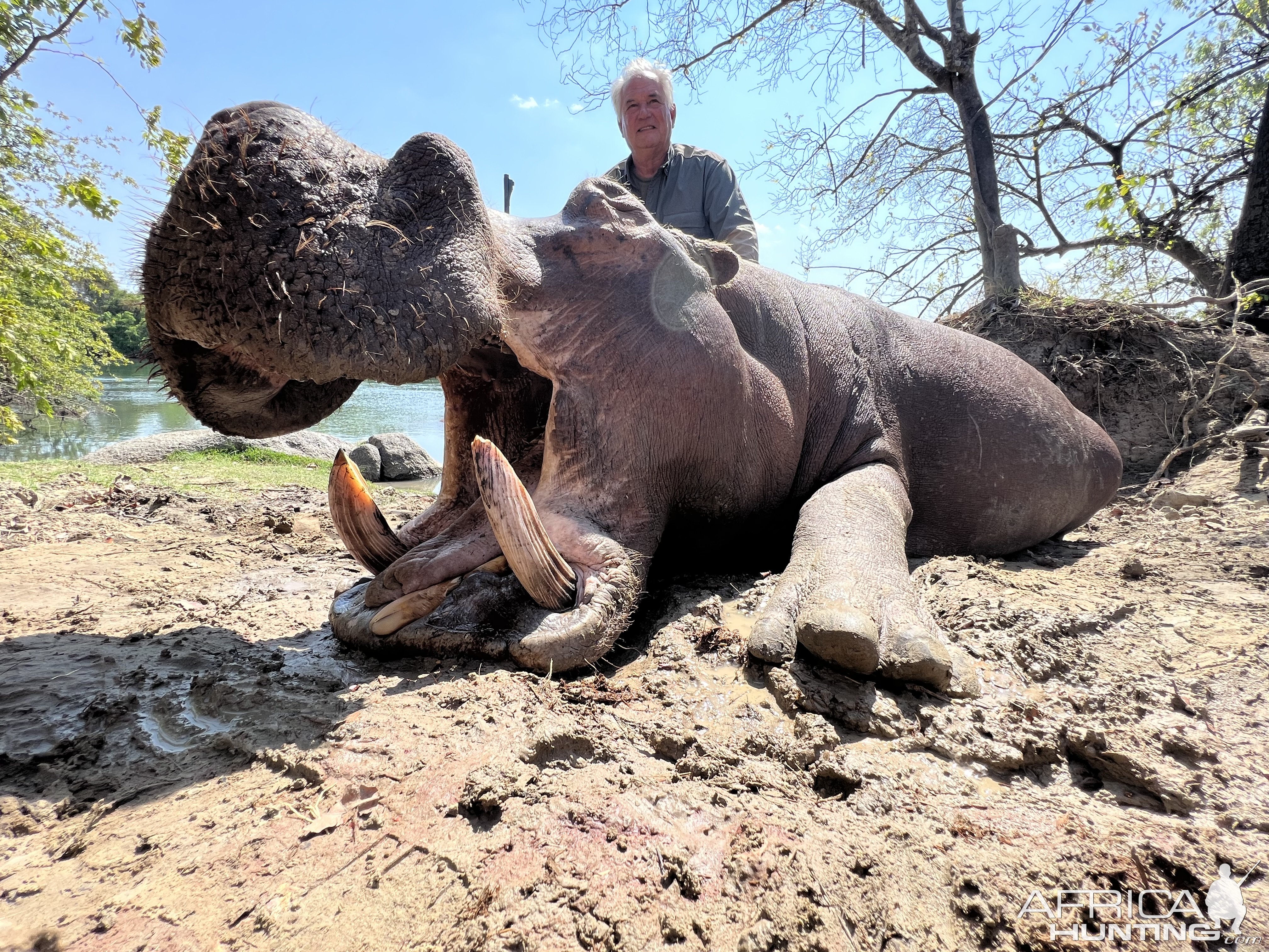 Hippo Hunt Zambia