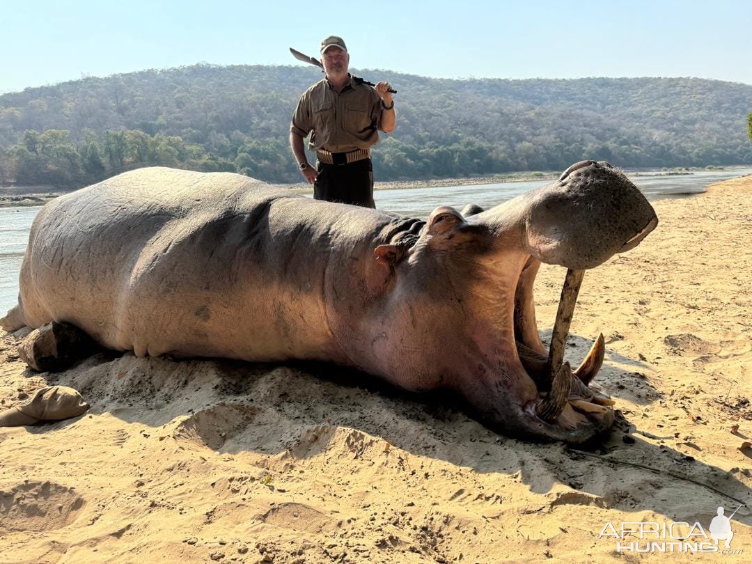 Hippo Hunt Zambia