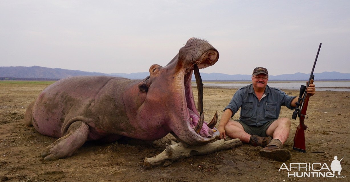 Hippo Hunt Zimbabwe