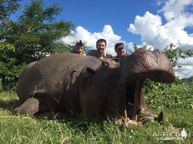 Hippo Hunt | AfricaHunting.com