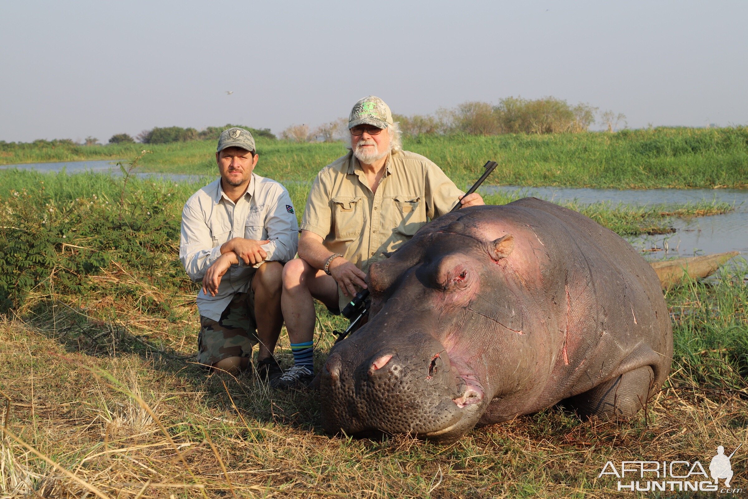 Hippo Hunting Namibia