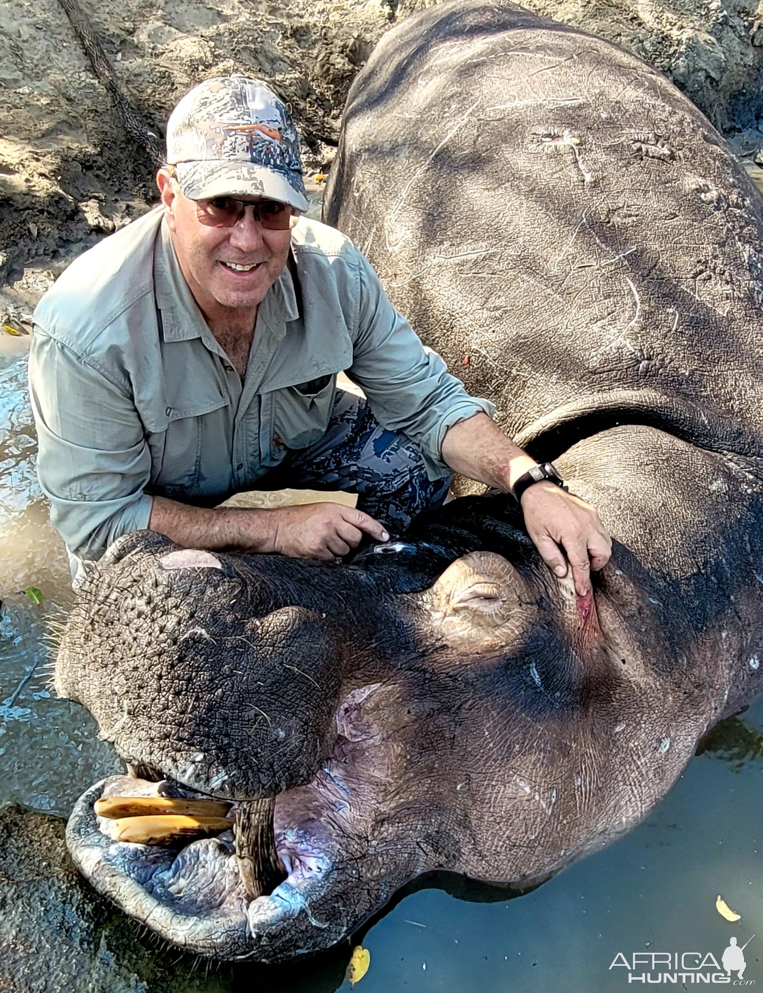 Hippo Hunting Tanzania
