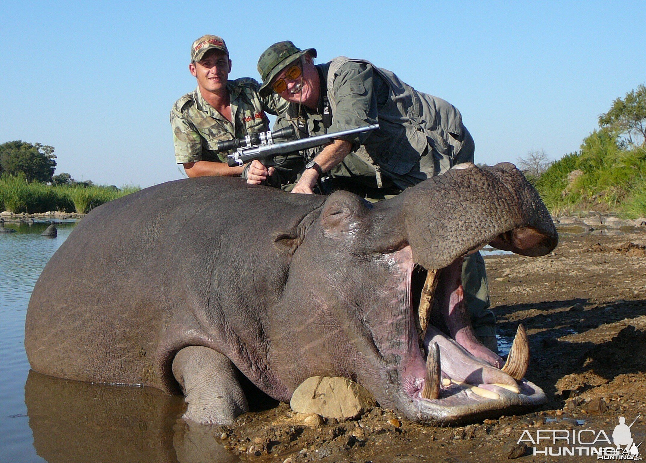 Hippo hunting