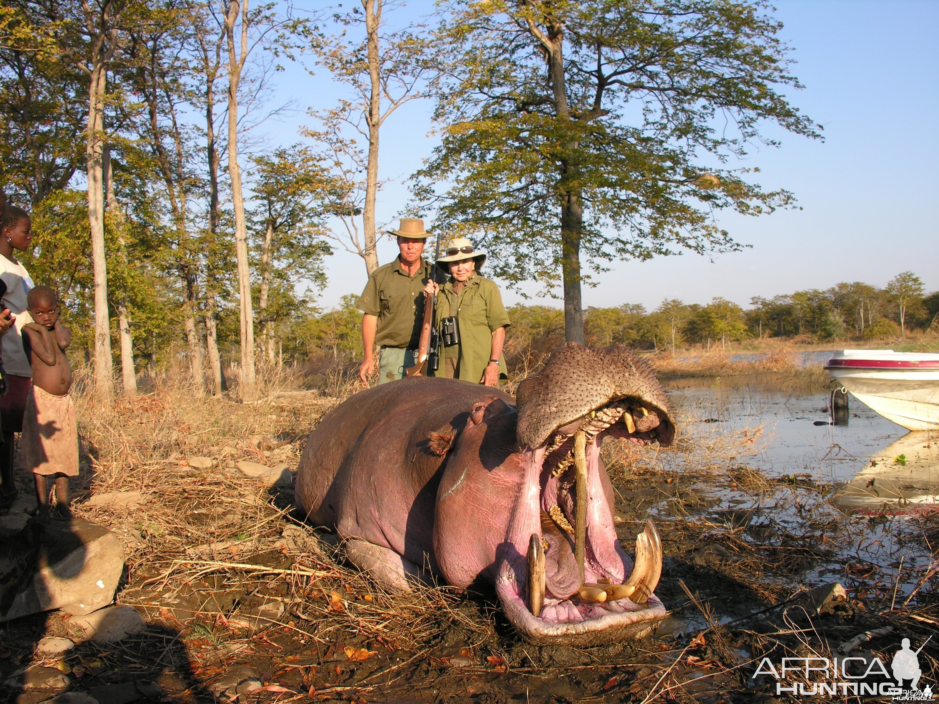 Hippo shot in Mozambique