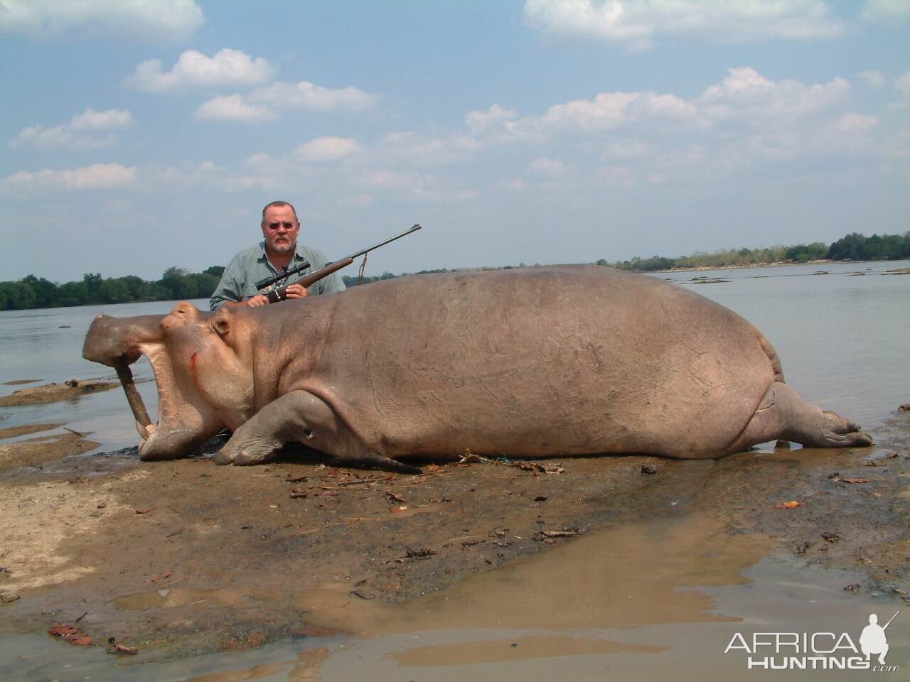 Hippo Tanzania