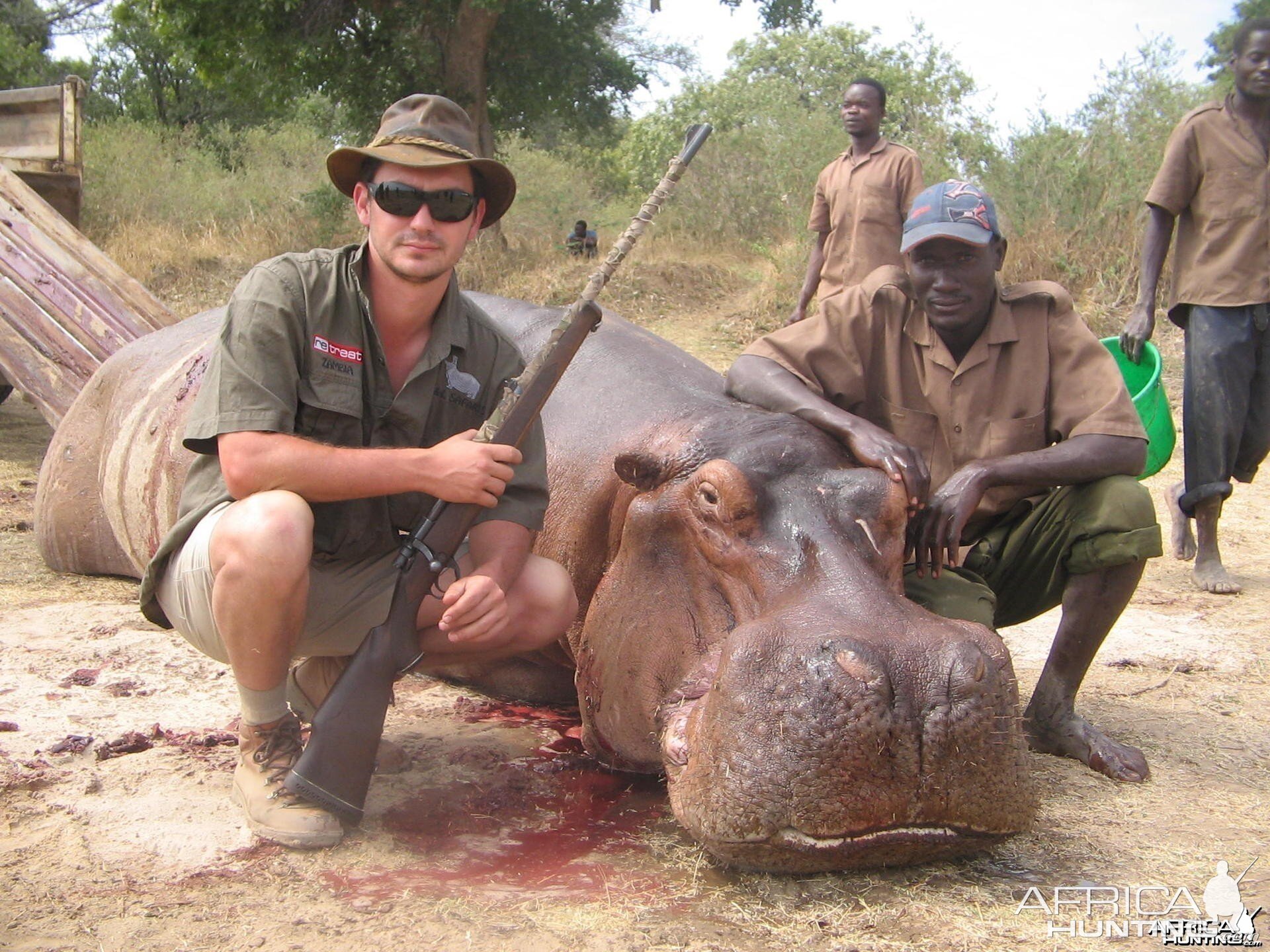 Hippo Zambia