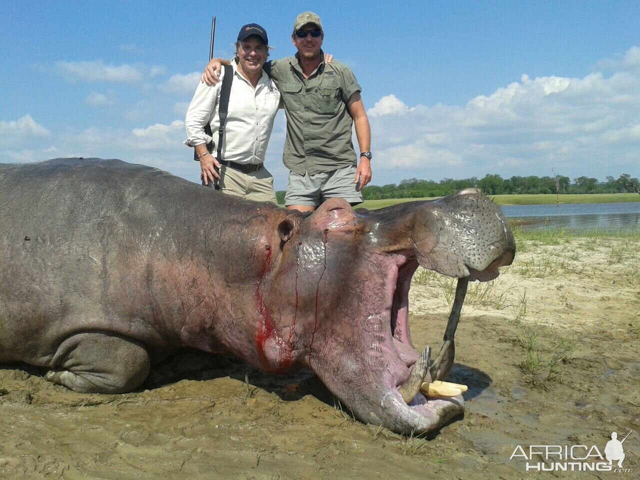 Hippo Zimbabwe Hunt