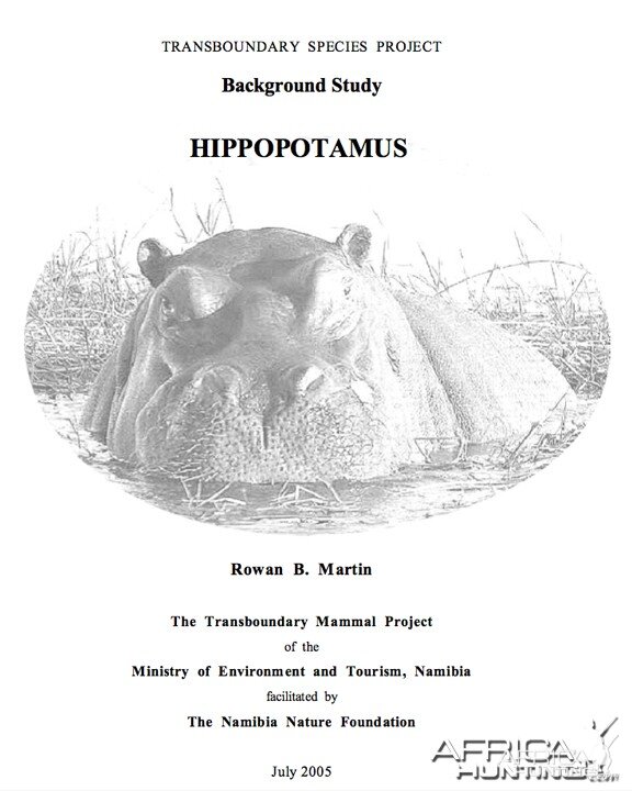 Hippopotamus Report