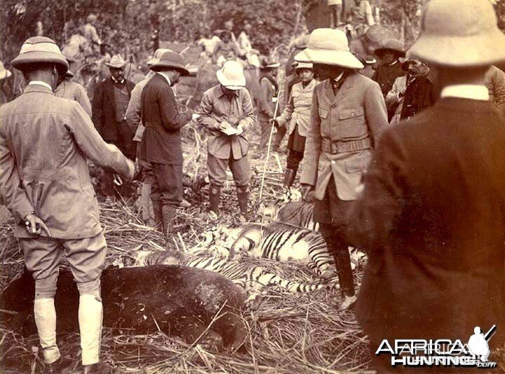 His Imperial Majesty's Shoot, Nepal 1911