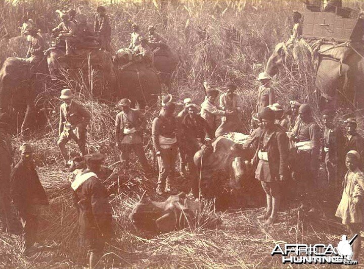 His Imperial Majesty's Shoot, Nepal 1911