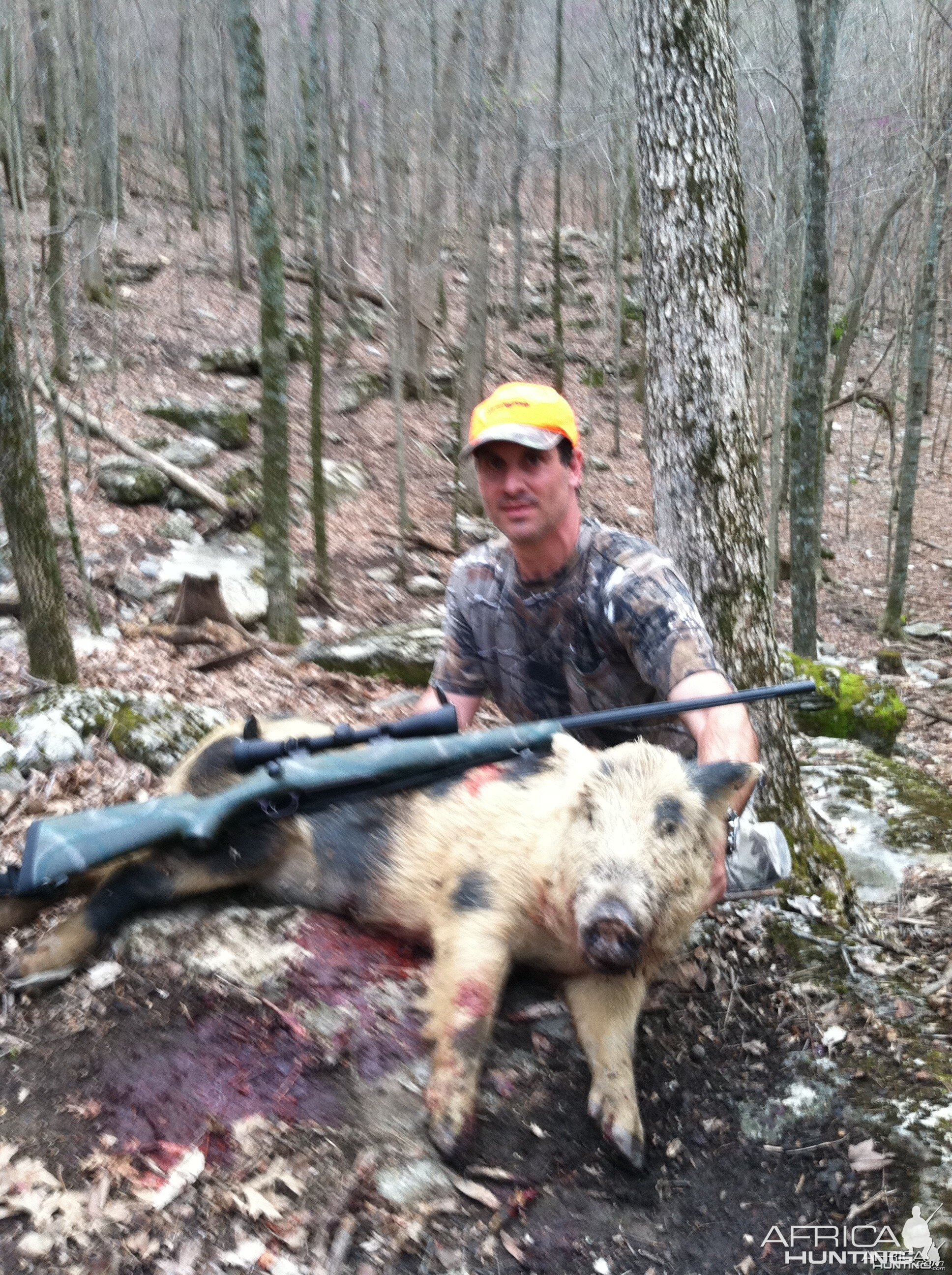 Hog .338-06 Tenessee