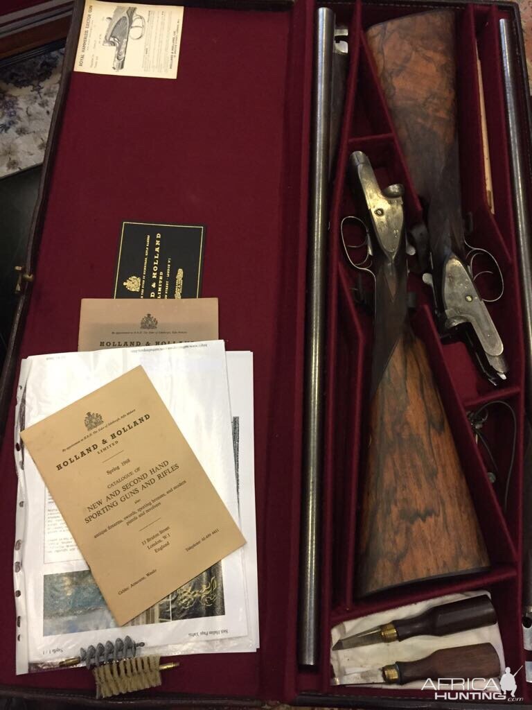 Holland & Holland pair shotguns