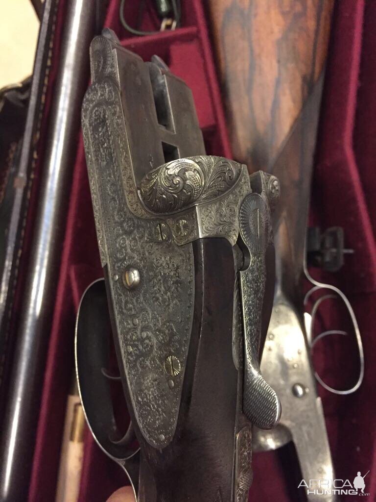 Holland & Holland pair shotguns