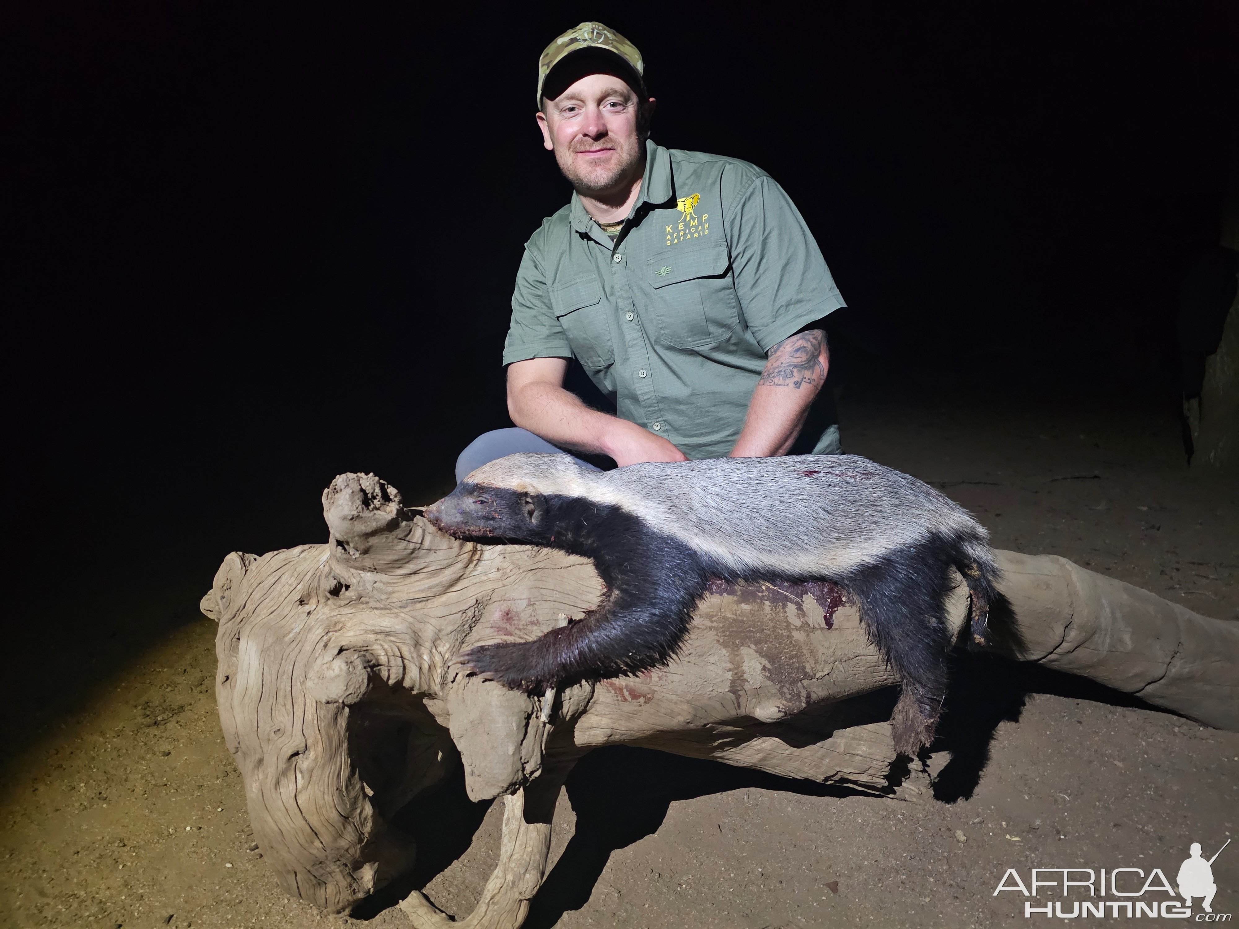 Honey Badger Hunt South Africa