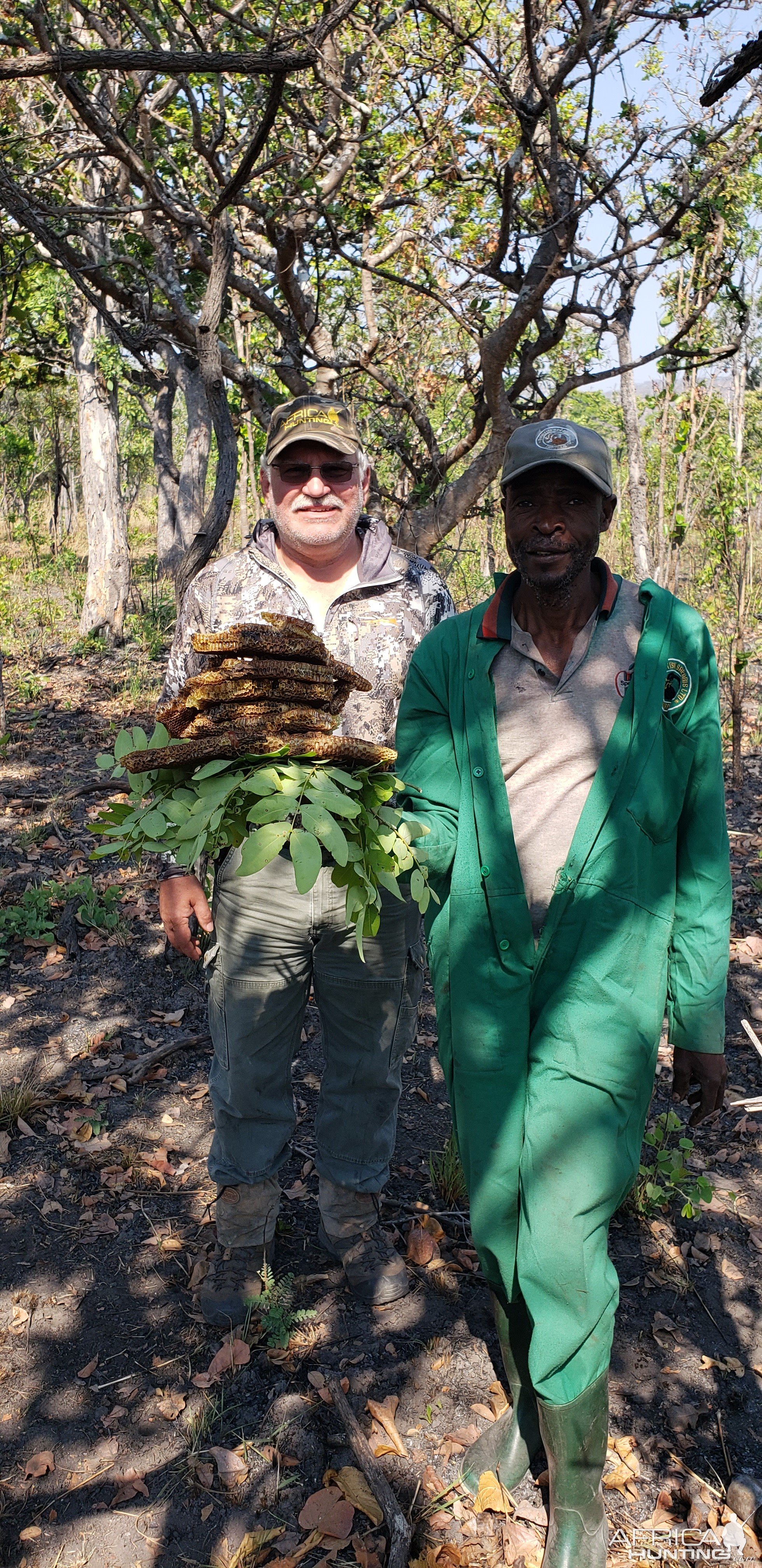 Honeycomb Tanzania