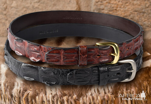 Horn Back Crocodile Casual Belt AfricaHunting